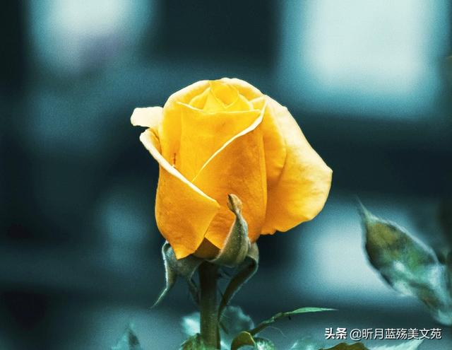 6205345905_d59a564256-160x160