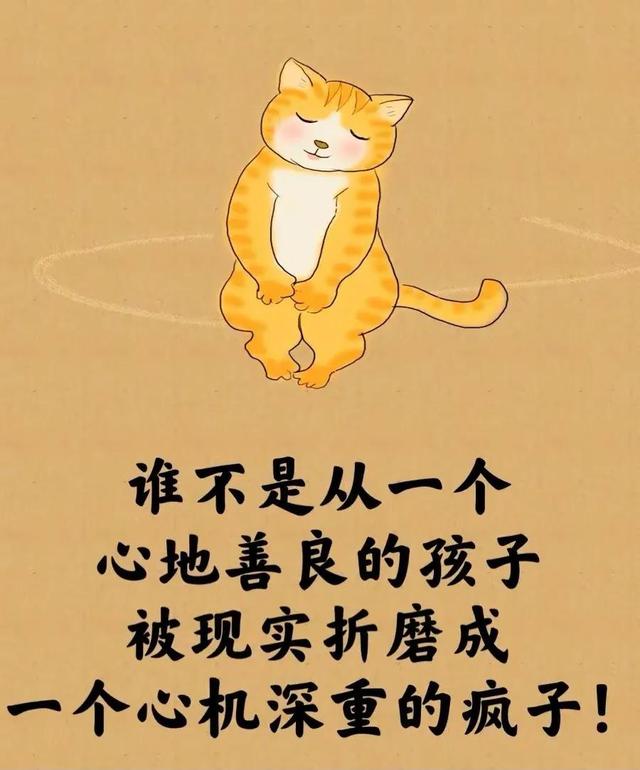 所谓的人生就是⋯