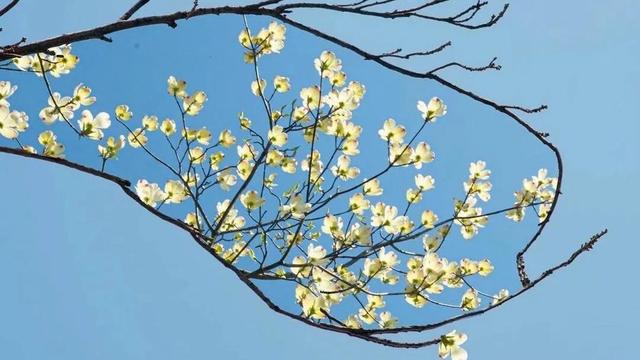 那些神仙句子，建议收藏（四十七)