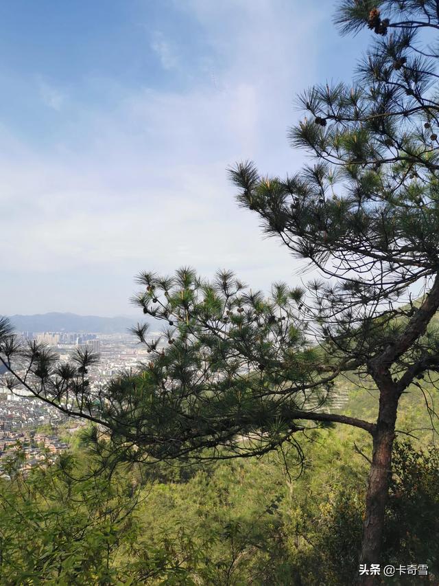 随手一拍就是风景