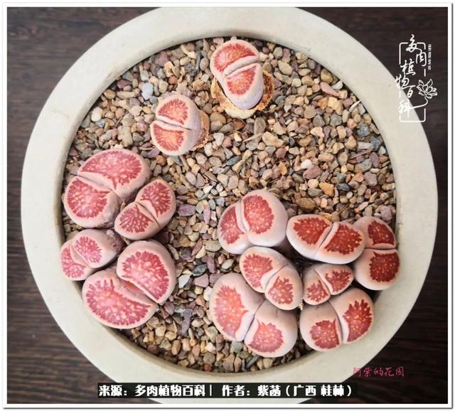 郑州新型泥土洗砂机