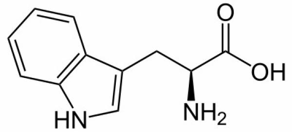 假如是硅基生命，我们能否找到外星人？