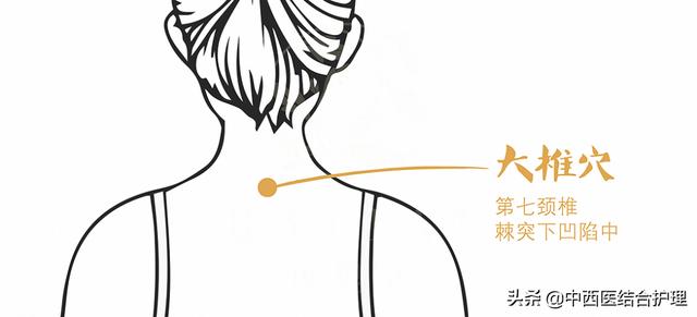 「经络穴位养生科普」预防百种慢性疾病的妙法