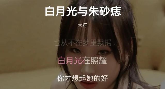 5.白月光与朱砂痣