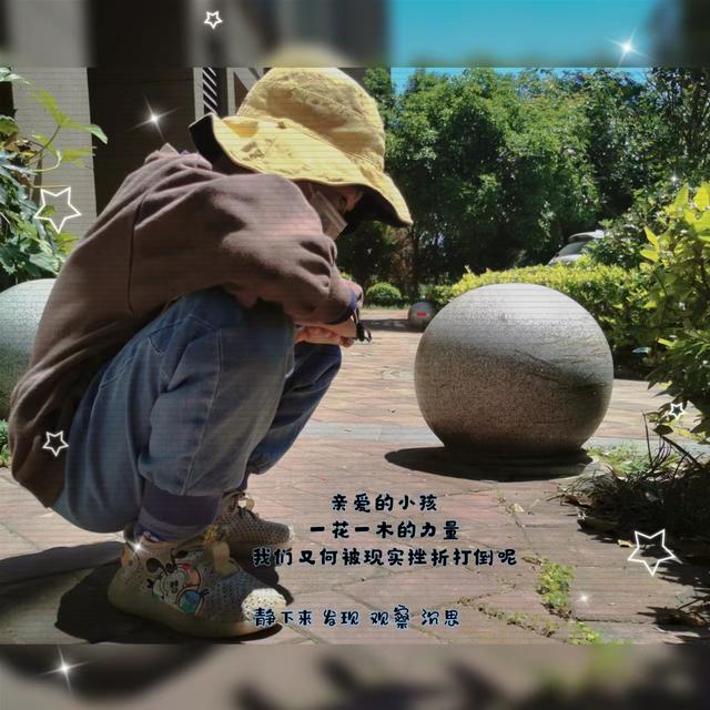 夹缝重生 只要你想 哪里都是肥沃的土壤 生根发芽