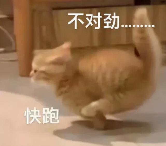 舍不得美貌形象就别拍女扮男装！涂口红又描眉，这些女星像话吗？