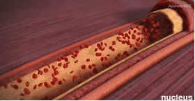 好好的血管怎么就堵了？这些“通血管”方法坑你没商量！