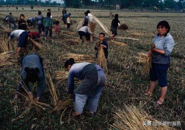 一组30张80年代的老照片，满满的童年记忆，有没有戳中你的泪点？