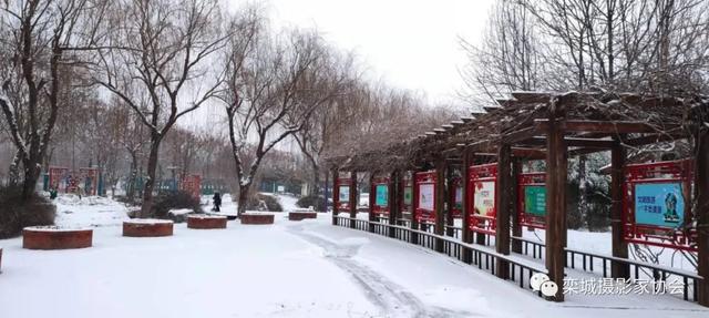 文人墨客赞赏雪（自古以来文人墨客对雪情有独钟）