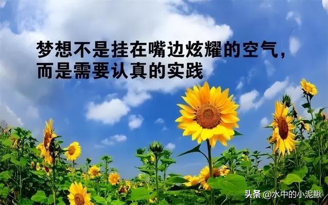 朋友圈早安唯美语录经典句子，最美早上好图片正能量励志