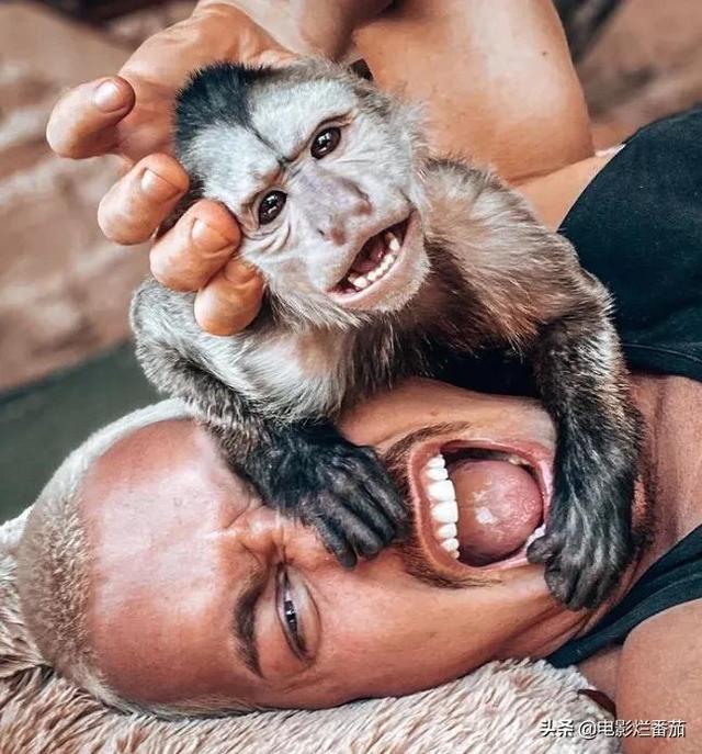 ȫ˧Фս