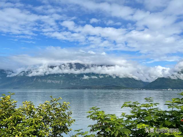 夢幻荒野阿拉斯加（14）Valdez看熊抓魚和三文魚洄遊