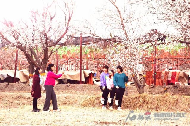 轮台：“赏花+”催热乡村旅游