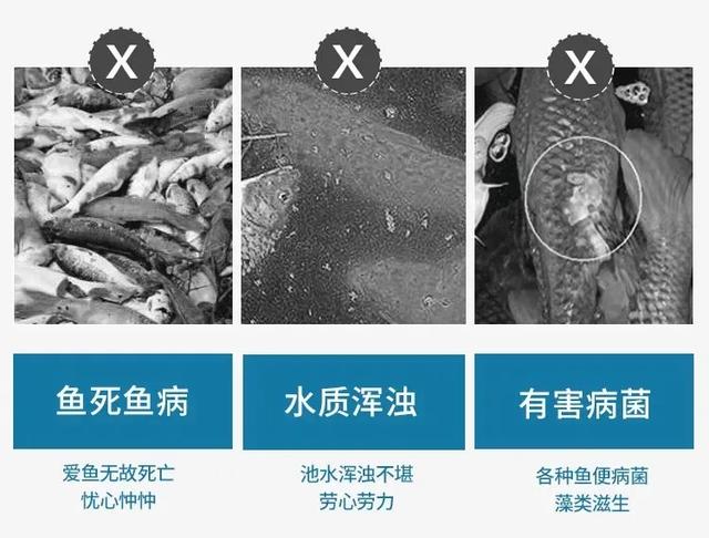 全自动鱼池物理过滤机