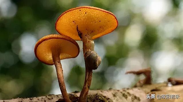 日常，便是最好的旅行！把旅行的心情帶到日常生活來吧