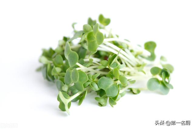 野菜有哪些 野菜有哪些（能吃的野菜有哪些） 生活