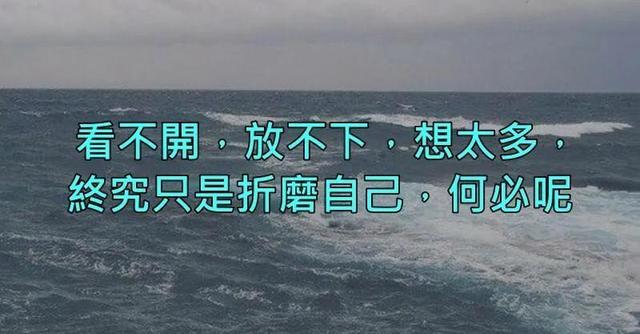 静待花开花落