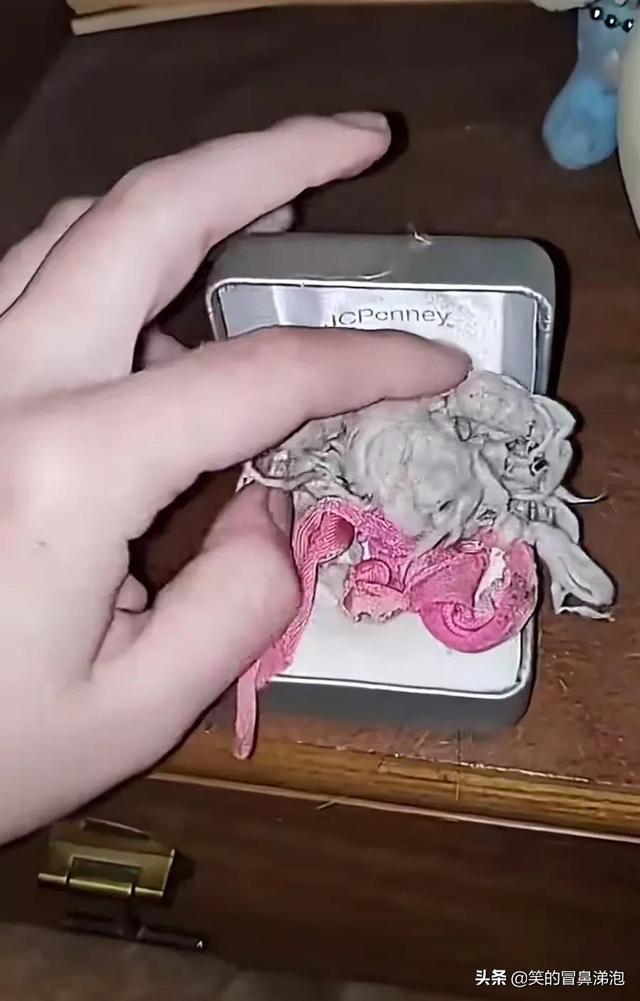 那些陪你长大的小毯子还在吗？