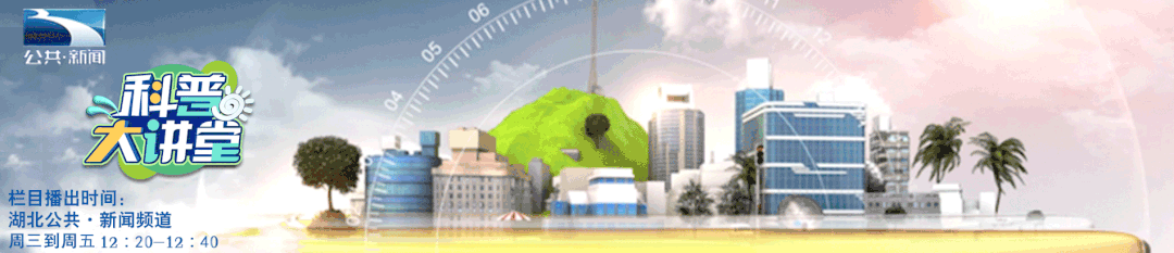 走路腿疼，走走又停停，警惕是这种病