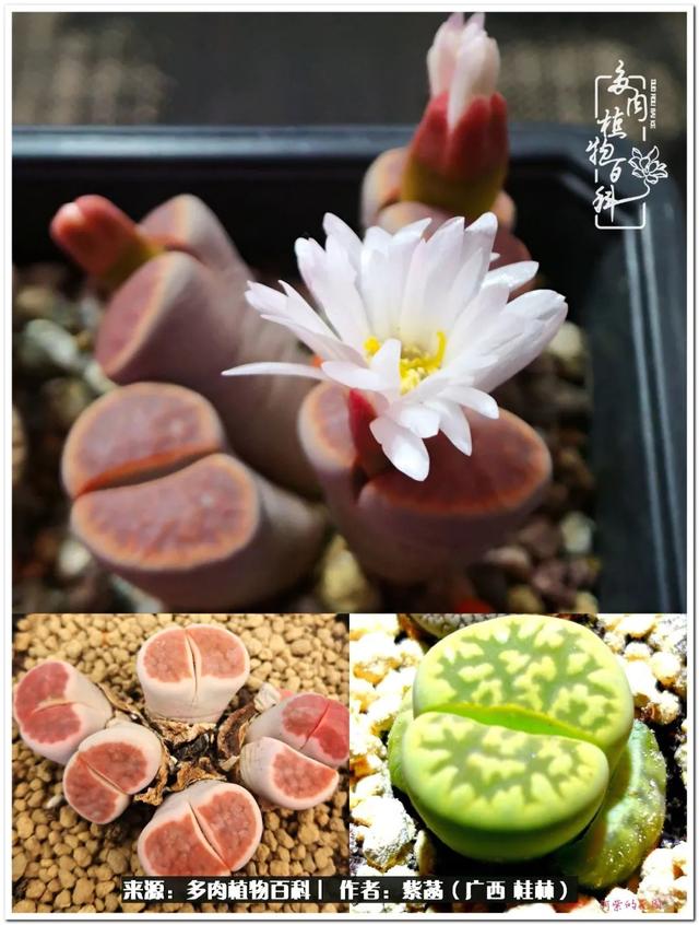 桂林滚筒式洗砂机厂家