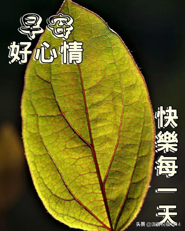 5月16日 每日祝福