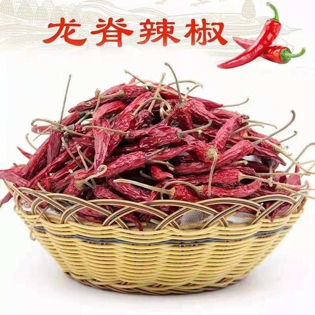 农业科技工程专题展