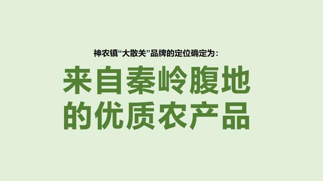 农业品牌营销顶层设计案例——陕西某镇农业公共品牌策划案