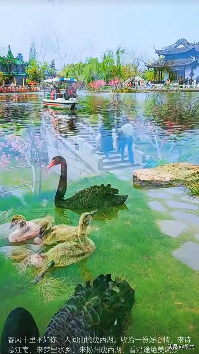 青春不一样，谁都曾年轻过
