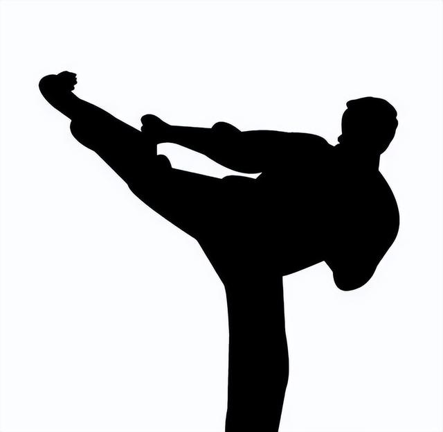武术锻炼意气进行完整一体的功法称为,从唐宋名家处领悟书法的用笔之意
