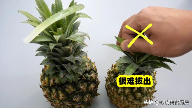 菠萝坏了是什么样子的