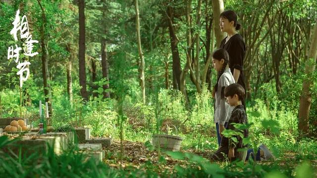 《相逢时节》被官二代甩富二代拉黑，害死亲妈怨亲姐，宁恕疯了吗