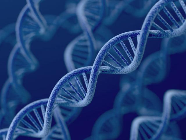 人类为何不能实现“永生”？科学家：人类只是在给基因打工罢了
