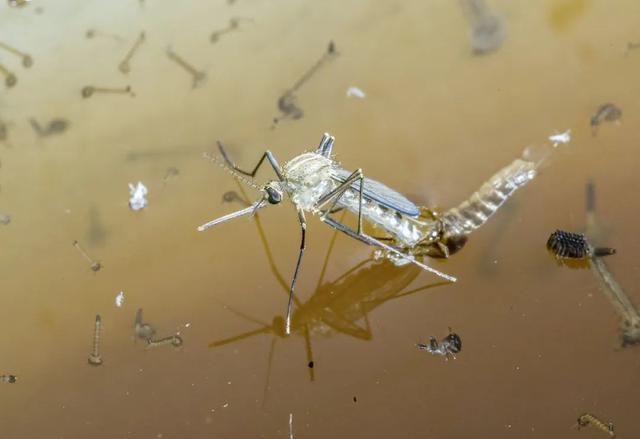 重视！全球水循环加剧：海水越咸，淡水越淡 极端气候将越来越频繁