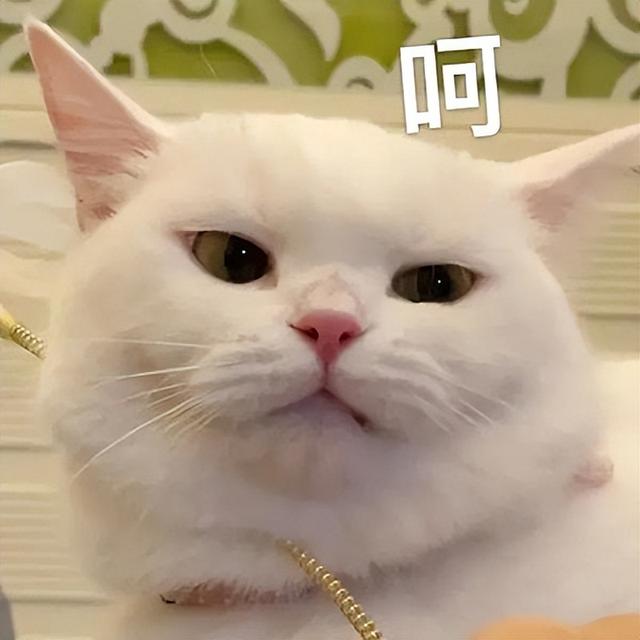 [云端小红花自动跟踪转发]，怎么清理微信图片