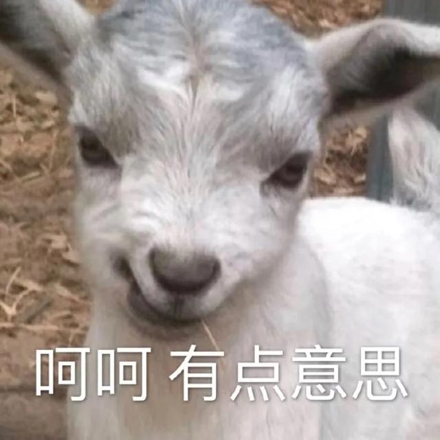 来聊聊那些安卓手机自带的精品App，实测好用
