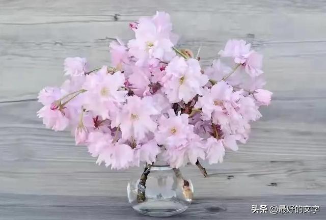 此文，送给可怜的自己！（深度好文）