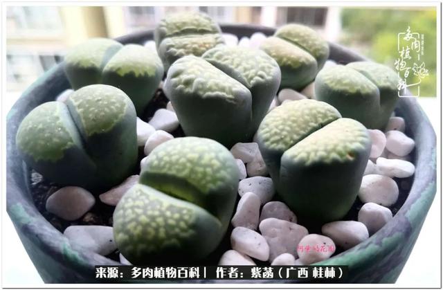 桂林滚筒式洗砂机厂家