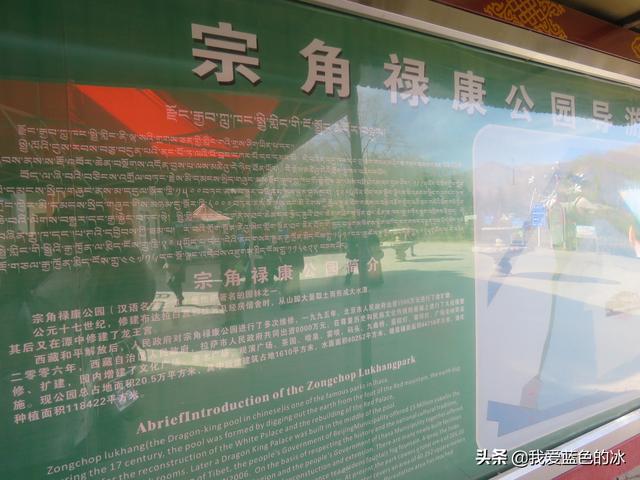 在布達拉宮後面的宗角祿康公園看水鳥能讓您忘記所有的煩惱