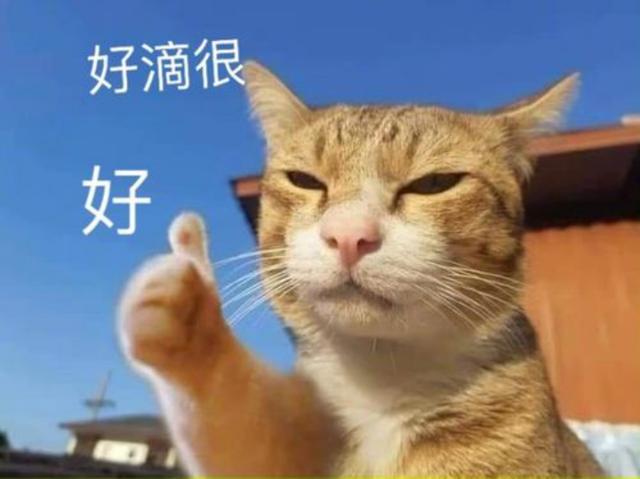 什么是数字人民币？