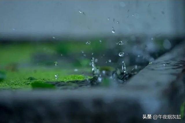 幽静小院，微雨一帘，淡茶半盏