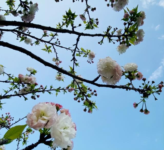 励志人生：只要功夫深，铁杵磨成针