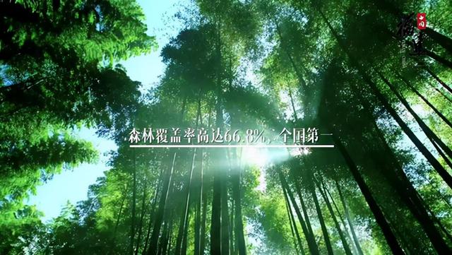 地贫民寡的福建，是如何发展起来的？富庶的福建人为何如此低调？