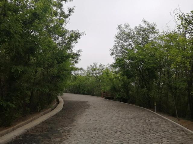 留住春日美景
