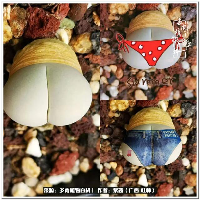 广西河沙洗砂机