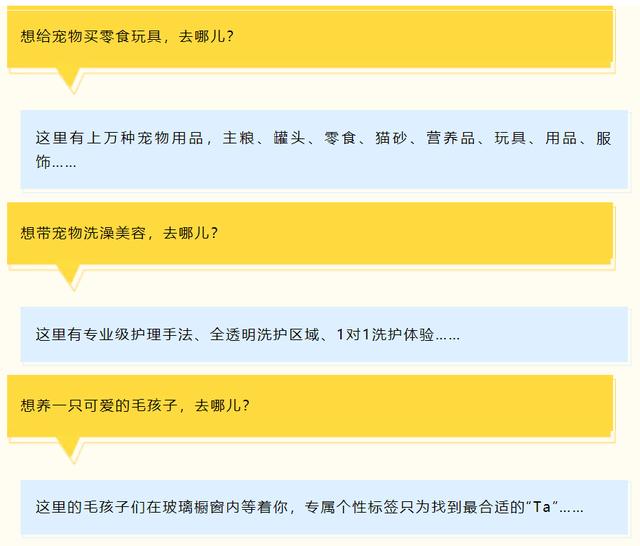 上海宠物猫专卖店