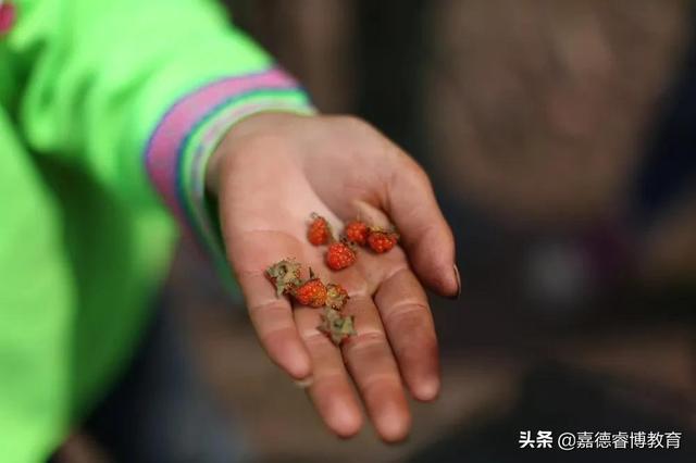 观察上千位小朋友的作品后，他发现，美育能带来堪比迪士尼的快乐