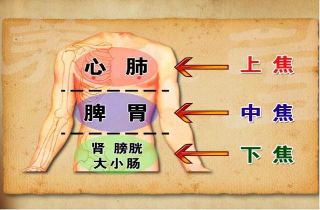 明明体寒怕冷，却容易上火？上热下寒的体质，如何引火归元？