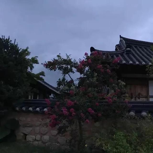 散文：缘分天定，爱恨随缘