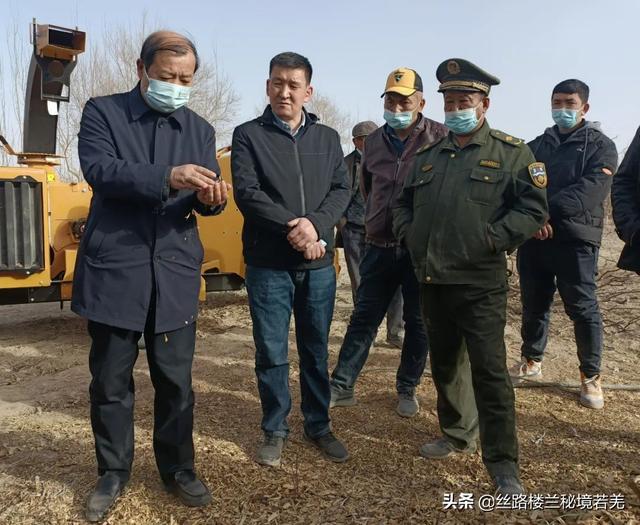 红枣高效破碎机的简单介绍