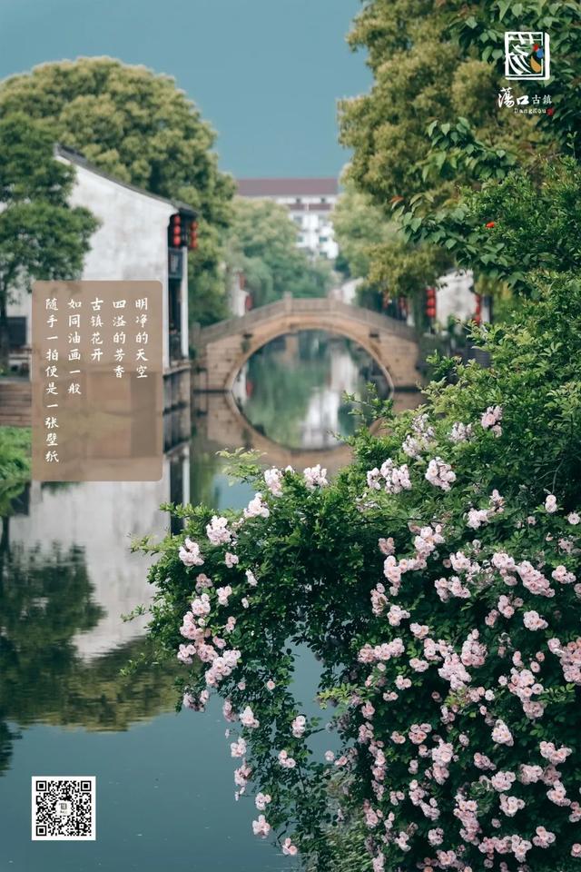 除了在家做“畊宏女孩”，也要去古镇看看花开呀~